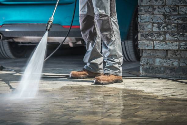 Best Fleet Vehicle Washing  in Olmos Park, TX